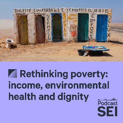 Rethinking poverty: income, environmental health and dignity