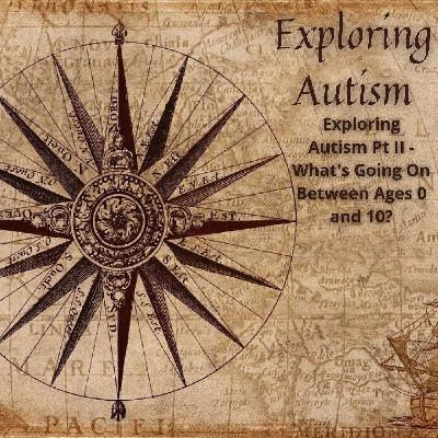 18. Exploring Autism Pt II - What's Going On Between Ages 0 and 10?