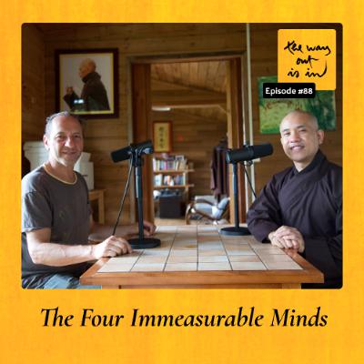 The Four Immeasurable Minds | TWOII podcast | Episode 88