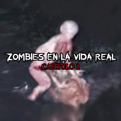 Zombies en la vida real (las mejores teorías)