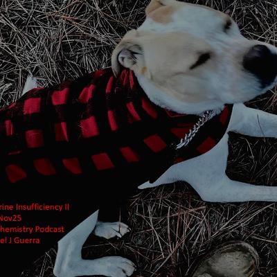 Pancreatic Exocrine Insufficiency II 29Nov25Authentic Biochemistry PodcastDr. Daniel J Guerra Pancreatic Exocrine Insufficiency II 29Nov25Authentic Biochemistry PodcastDr. Daniel J Guerra