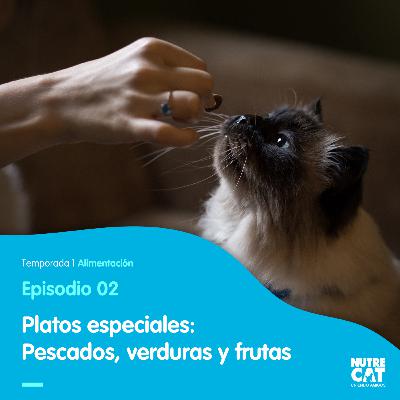 Snacks saludables: Frutas, verduras y pescados que puedes darle a tu gato.