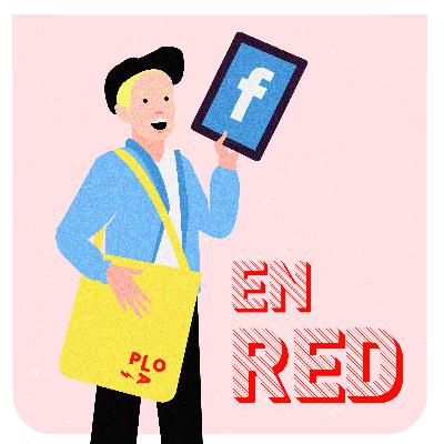 Pieza Clave 04: En red
