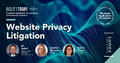 Website privacy litigation Website privacy litigation