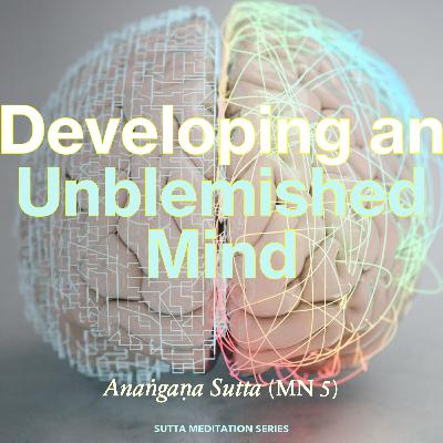 DEVELOPING AN UNBLEMISHED MIND