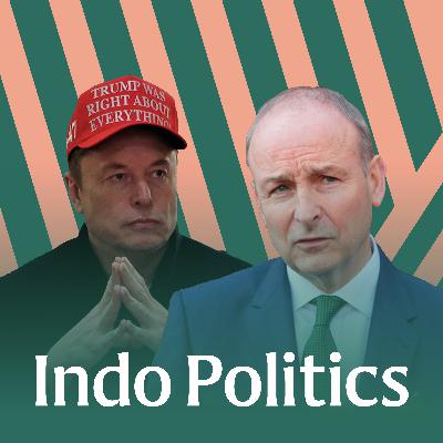 Between Grok and a hard place: Pressure on Micheál Martin to hold golden tech goose to account