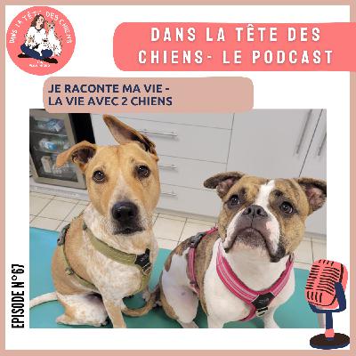 Je raconte ma vie - la vie avec 2 chiens