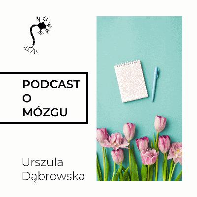 #043 4 Filary Uczenia się