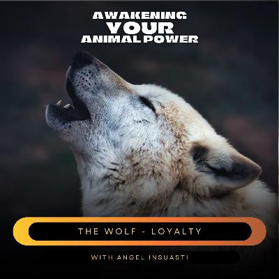 The Wolf as your Power Animal