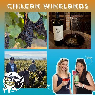 Food & Wine Journey Through Chilean Winelands
