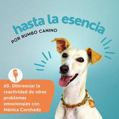 60. Cómo diferenciar la reactividad de otros problemas emocionales, con Mónica Corchado