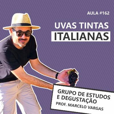 PODCAST aula 162 - Uvas tintas italianas - Prof. Marcelo Vargas