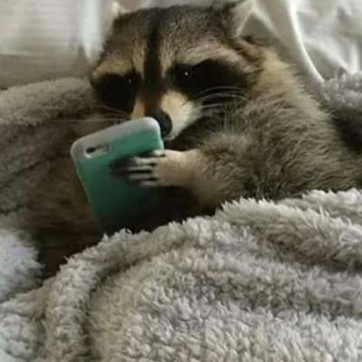 ¡El hábito de dormir bien! Equipo 5