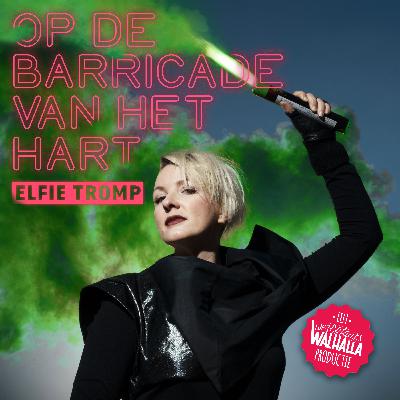Aflevering 1 - Laurens Ham