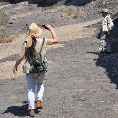 Programa "Alternativa Extraterrestre": 2879 09/07/2023 Programa "Alternativa Extraterrestre": 2879 09/07/2023