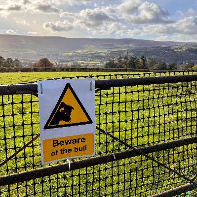 London Vacation Rental Woes; Hertz's EV Retreat