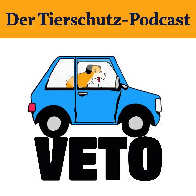 Hitzefalle Auto: Wir machen den Selbsttest Hitzefalle Auto: Wir machen den Selbsttest