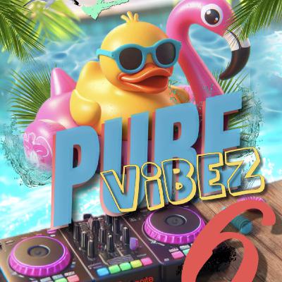 Pure VibeZ Vol. 6