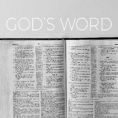 The Desert Season The Desert Season