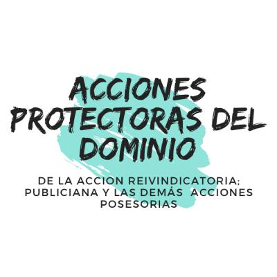 Los Bienes - De la Acción Reivindicatoria; y las demás acciones posesorias