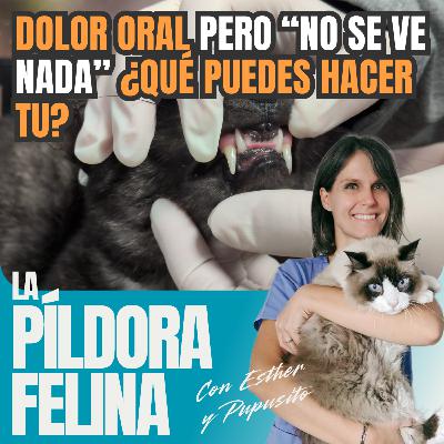 641. DOLOR ORAL pero “no se ve nada” ¿QUÉ PUEDES HACER TU? 641. DOLOR ORAL pero “no se ve nada” ¿QUÉ PUEDES HACER TU?