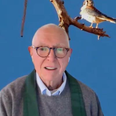 2026-02-22 | Dharma Talk | Signal and Noise | Joel Barna