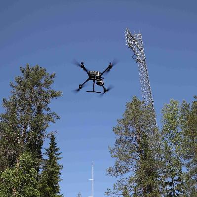 Skogsbrukets digitalisering