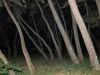 怪談「河童　1」 from Radiotalk