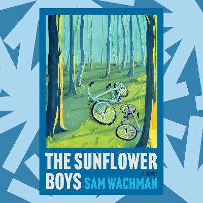 In ‘The Sunflower Boys,’ a 12-year-old boy comes of age during war in Ukraine
