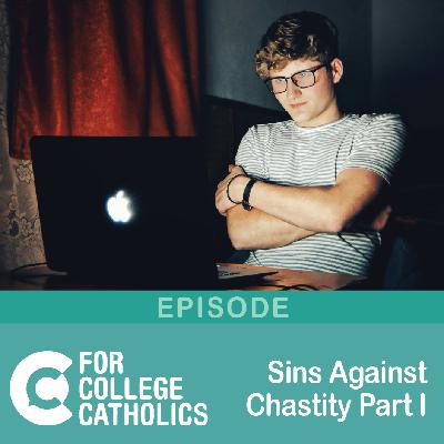 187 Sins Against the Sixth Commandment (I) 187 Sins Against the Sixth Commandment (I)