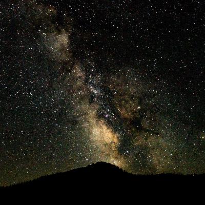 A Living Presence A Living Presence