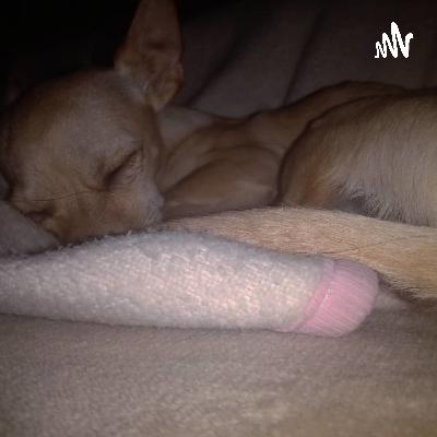 Tarea de sonidos de mi al rededor