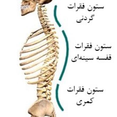 از ستون فقرات خود مراقبت کنید 💪