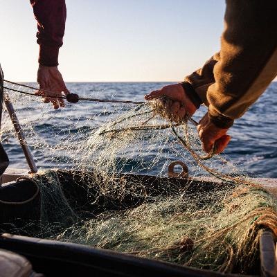 Mundo rural - Desciende el consumo de pescado entre los jóvenes - 25/07/25