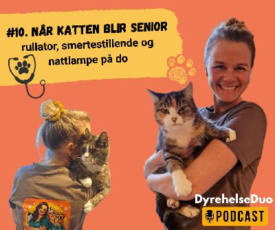 #10. Seniorkatt - rullator, smertestillende og nattlampe på do