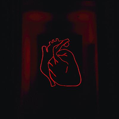 Jordan Prüfer : « Le don d'organe, c'est un acte d'amour » Jordan Prüfer : « Le don d'organe, c'est un acte d'amour »