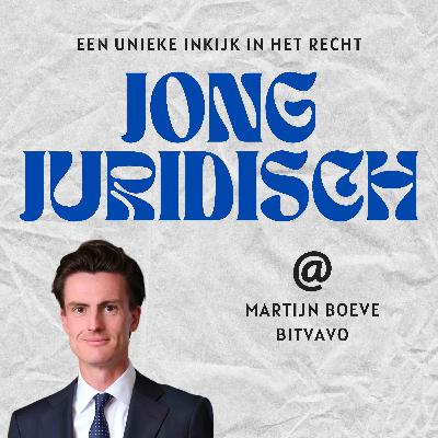 Martijn Boeve - Crypto, werken bij Bitvavo als jurist, MiCAR, DORA, en andere wetgeving rondom crypto en bellen over Peter Gillis