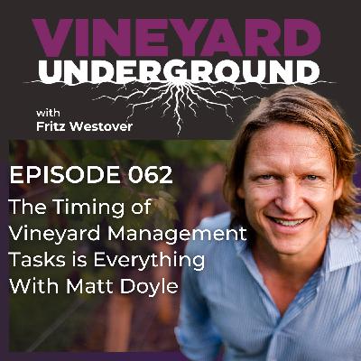 062: The Timing of Vineyard Management Tasks is Everything With Matt Doyle