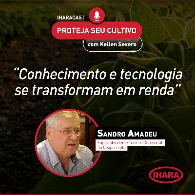 #45 - Cooperativismo vs desafios de produtividade. Como a cooperativa tem ajudado o produtor