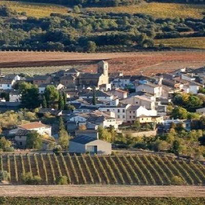 Joaquín Tornil, concejal de Salas Bajas