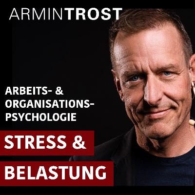 Stress und Belastung