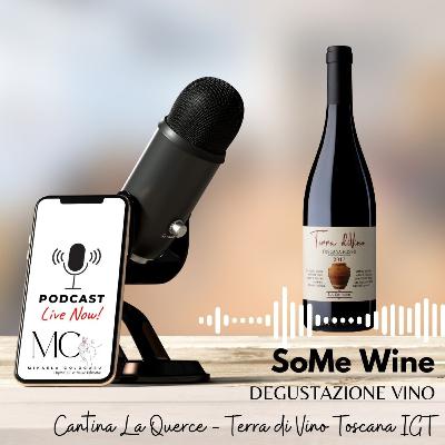 Ep. #31 Degustazione Terra diVino - Esplorando il vino in anfora con la cantina La Querce
