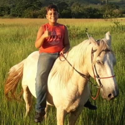 Vida na fazenda