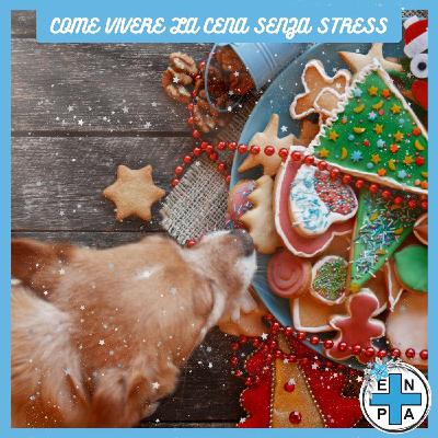 Enpa speciale Natale a 4 zampe, come vivere la cena senza stress