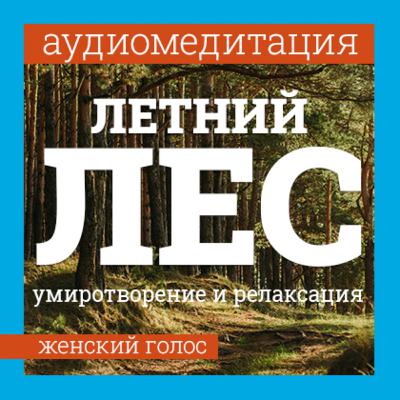 Аудимедитация — полная релаксация и расслабление через метафору летнего леса. Женский голос.