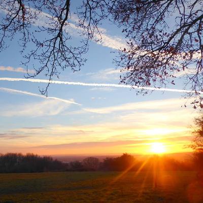 ✨ End of Year Update | Where is BPS headed?