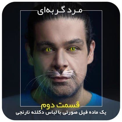 مرد گربه‌ای / قسمت دوم / یک ماده فیل صورتی با لباس دکلته نارنجی