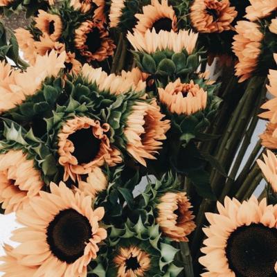 I am grateful for you Music!❤️