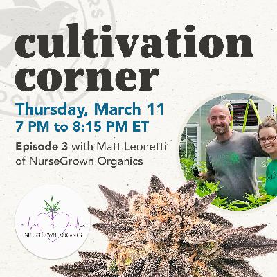 Cultivation Corner, Episode 3 With Matt Leonetti Cultivation Corner, Episode 3 With Matt Leonetti