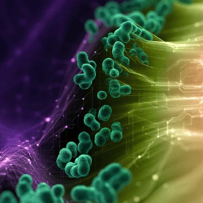 The Biological Imagination The Biological Imagination
